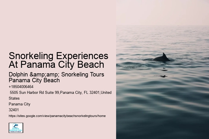 Panama City Beach Snorkeling Tours La Jolla