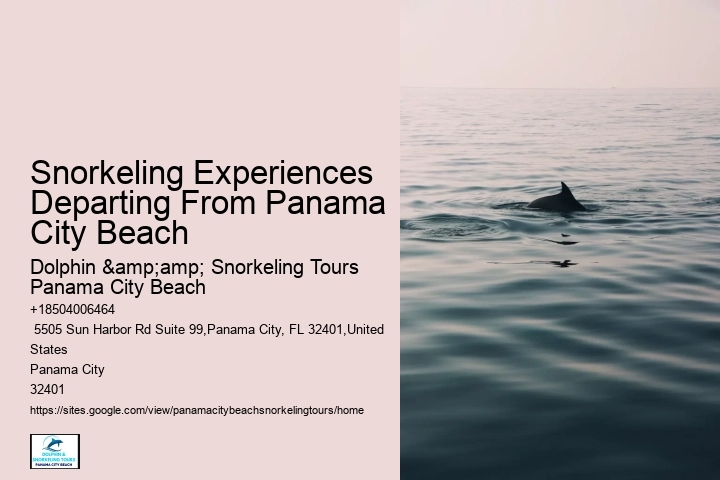 Panama City Beach Snorkeling Tours East Mountains