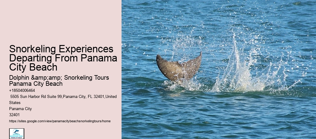 Panama City Beach Snorkeling Tours 920
