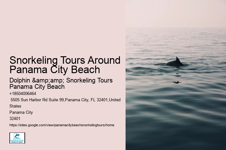 Pcb Snorkel Watching Experiences