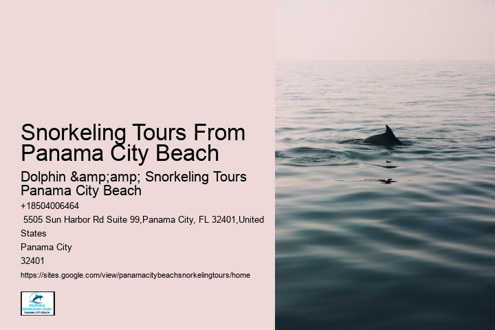 Snorkeling Adventures Departing From Panama City Beach