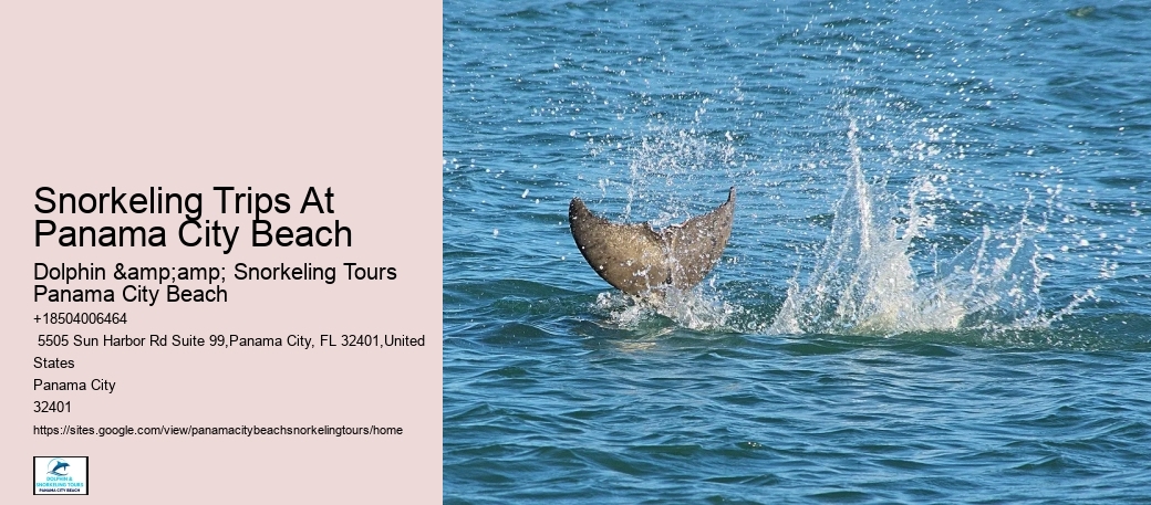 Snorkeling Trips Around Panama City Beach