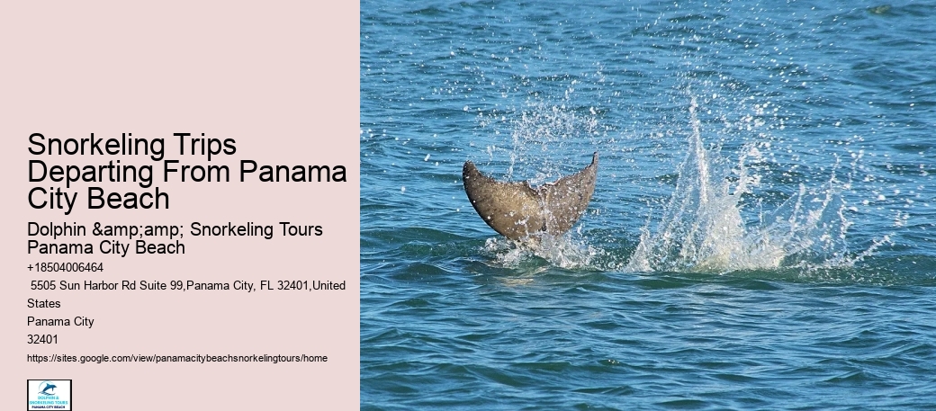 Panama City Beach Snorkeling Tours 19