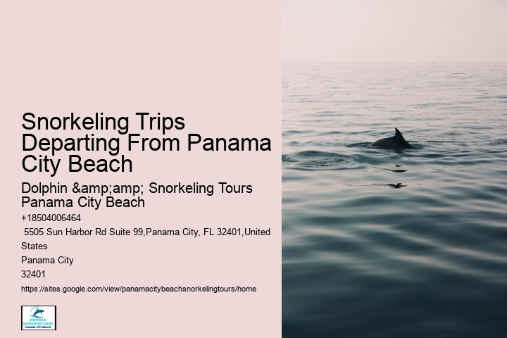 Are Panama City Beach Snorkeling Tours Suitable For Families With Children