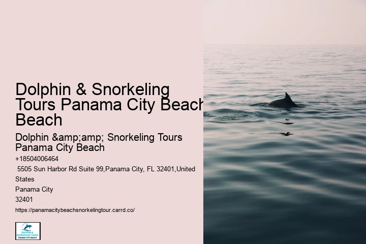 Dolphin & Snorkeling Tours Panama City Beach Beach
