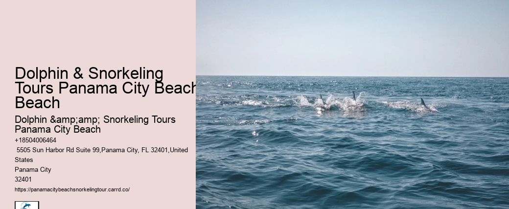 Are Panama City Beach Snorkeling Tours Wheelchair Accessible