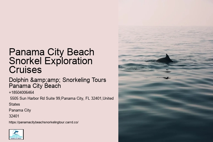Panama City Beach Snorkel Exploration Cruises