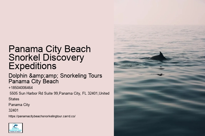 Panama City Beach Snorkel Discovery Expeditions
