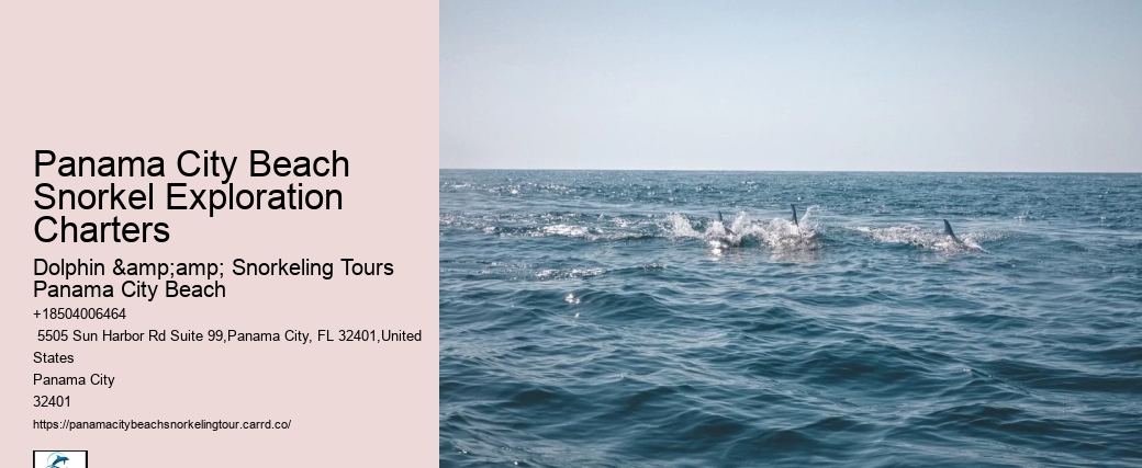 Panama City Beach Snorkel Exploration Charters