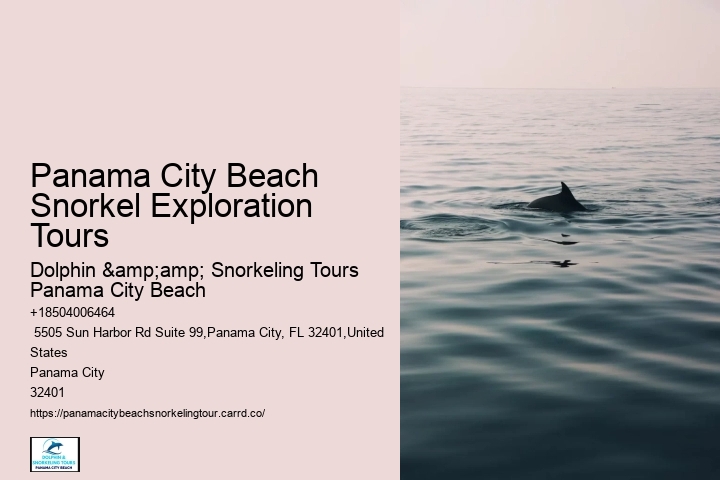 Panama City Beach Snorkel Exploration Tours