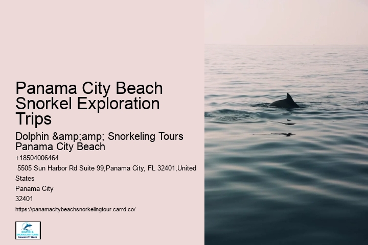 Panama City Beach Snorkel Exploration Trips