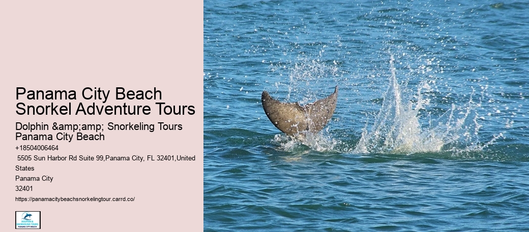 Panama City Beach Snorkel Expeditions