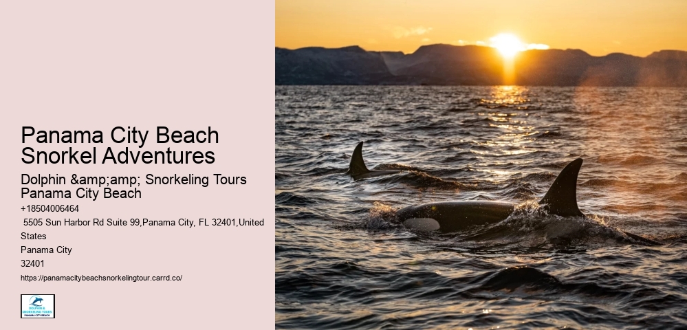 Panama City Beach Snorkeling Tours West Maui