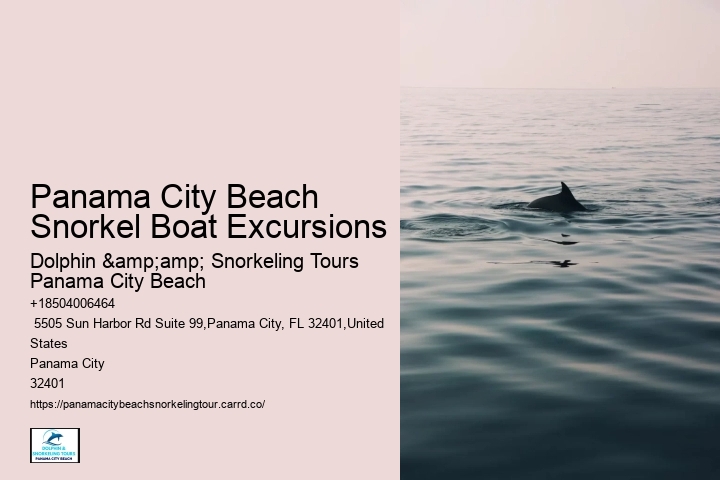 Panama City Beach Snorkeling Tours Del