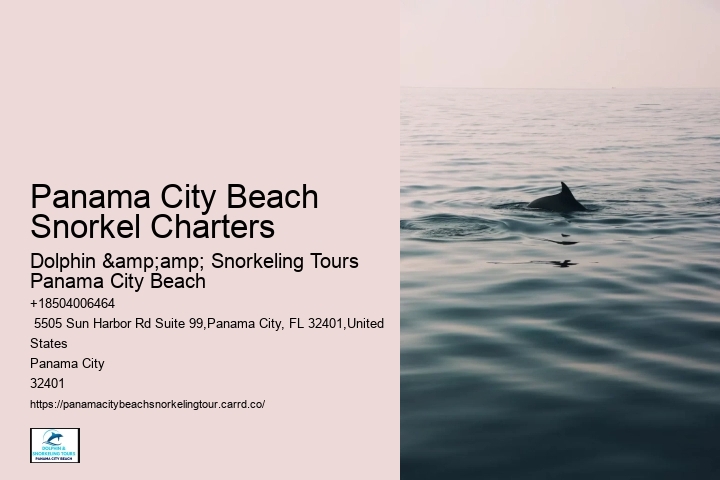 Dolphin Cruise Panama