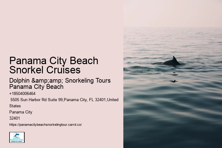 Panama City Beach Snorkeling
