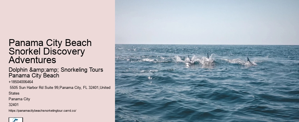 Panama City Beach Snorkeling Tours Panama City Beach