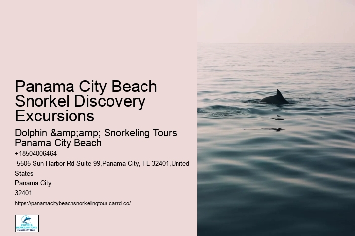 Dolphin And Snorkeling Tours In Panama City Beach Beach