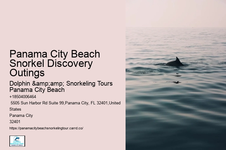 Panama City Beach Snorkeling Tour One Day