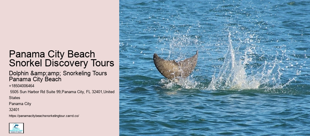 Panama City Beach Snorkel Discovery Cruises