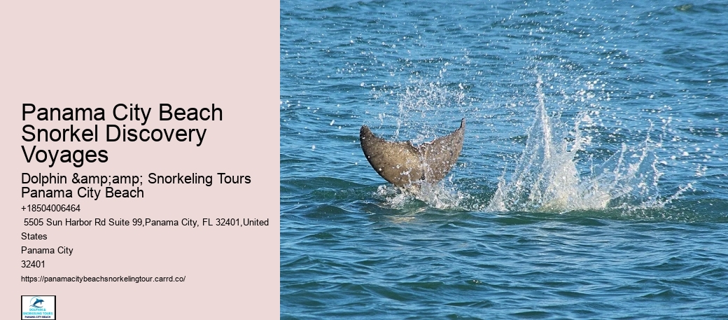 Panama City Beach Snorkeling Tours Highlands