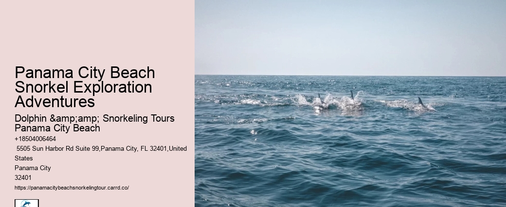 Panama City Beach Underwater Tours