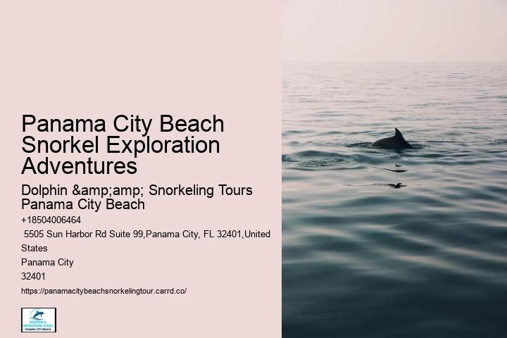 Snorkel Tours | Fun In Panama City Beach
