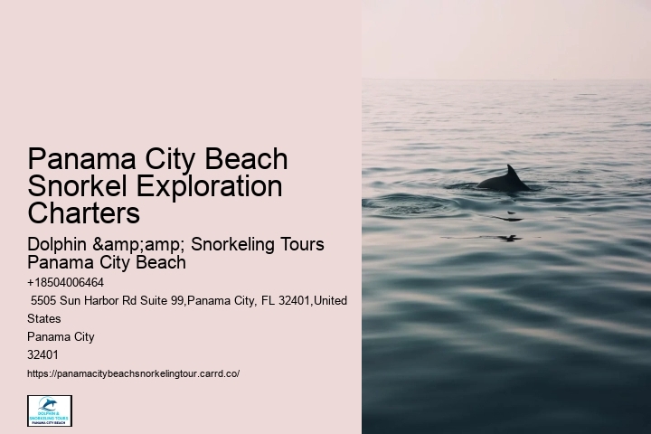 Are Panama City Beach Snorkeling Tours Suitable For Experienced Snorkelers