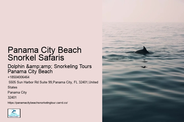 Snorkeling Tours