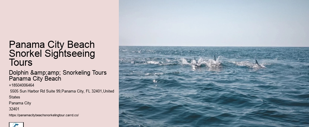 Snorkel Exploration Cruises In Panama City Beach