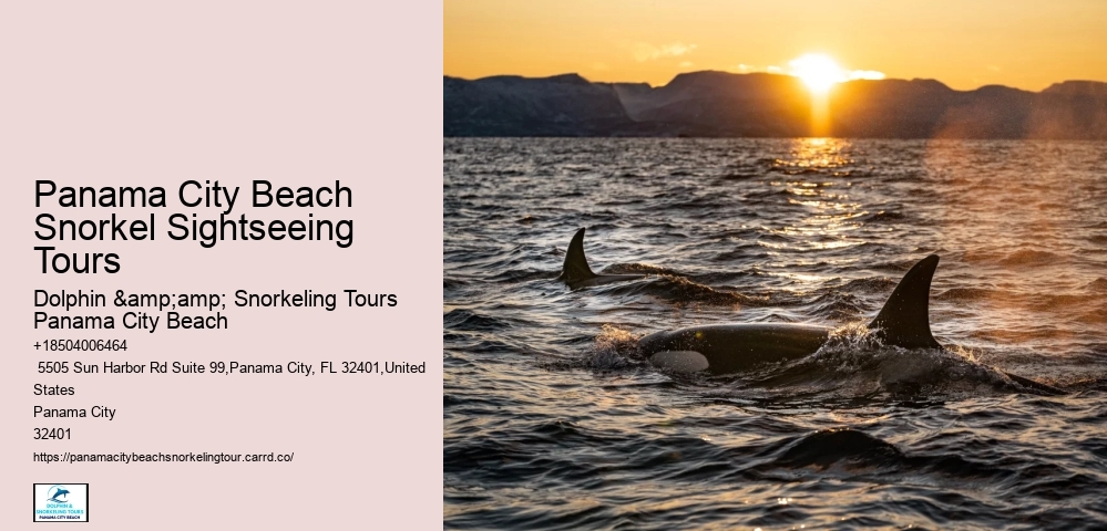 Panama City Beach Snorkeling Tours On Lake
