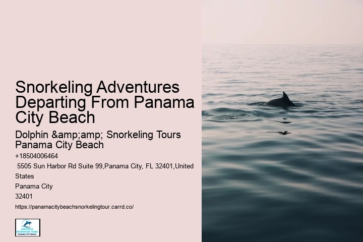 Snorkeling Adventures Departing From Panama City Beach