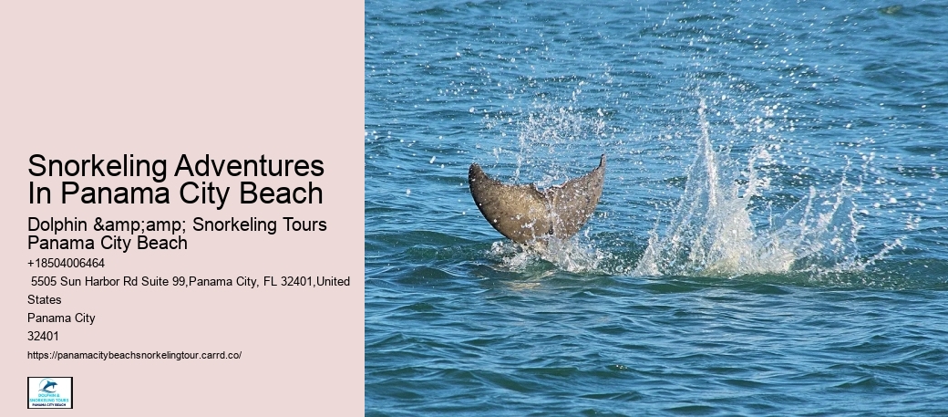 Panama City Beach Snorkeling Tours Delaware