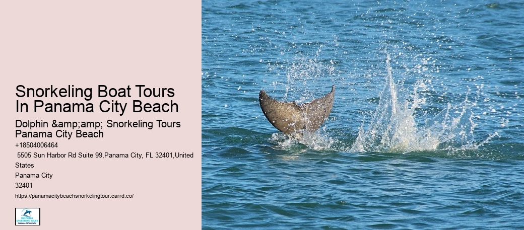 Panama City Beach Snorkel Adventure Trips