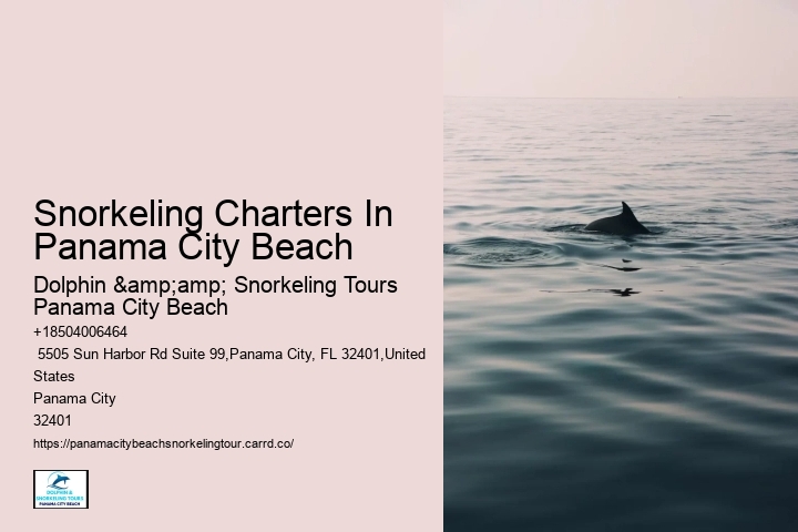 Snorkeling Charters In Panama City Beach