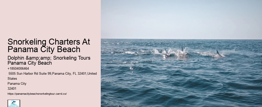 Panama City Beach Snorkeling Tours Zone