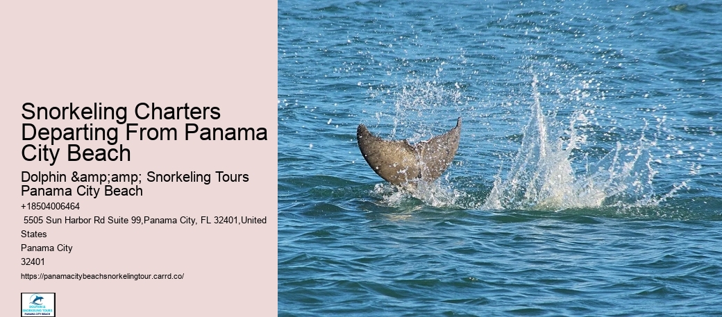 Snorkeling Adventures Around Panama City Beach