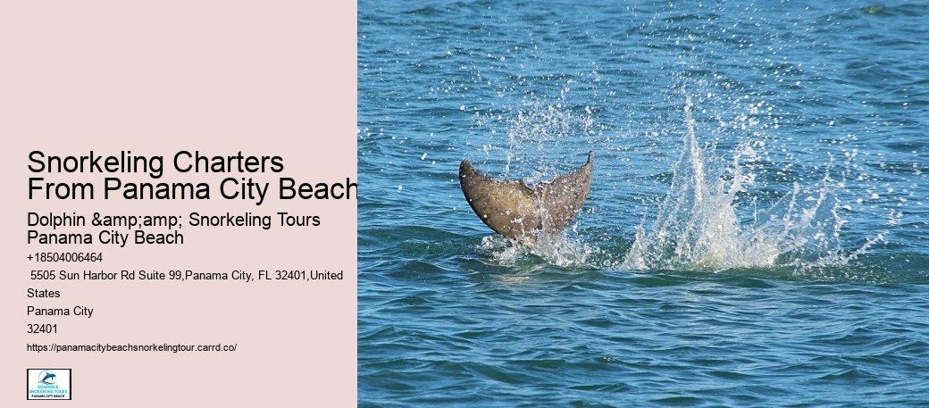 Panama City Beach Snorkeling Tours Centerville