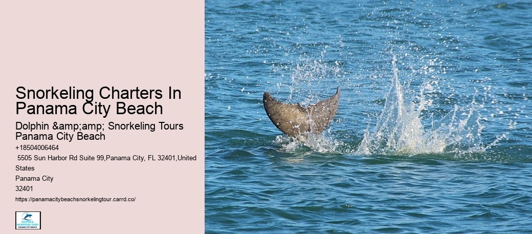Panama City Beach Snorkel Exploration Cruises