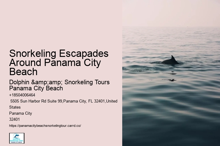 Snorkeling Escapades Around Panama City Beach