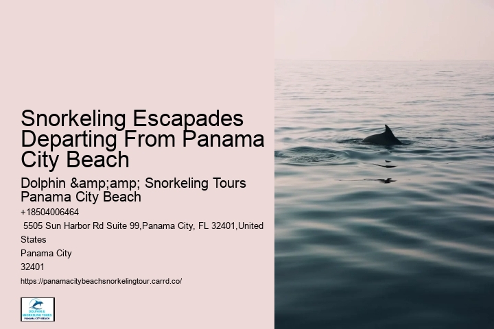 Snorkeling Escapades Departing From Panama City Beach