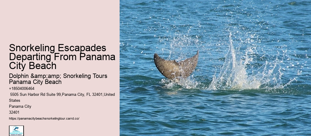 Panama City Beach Snorkel Cruises