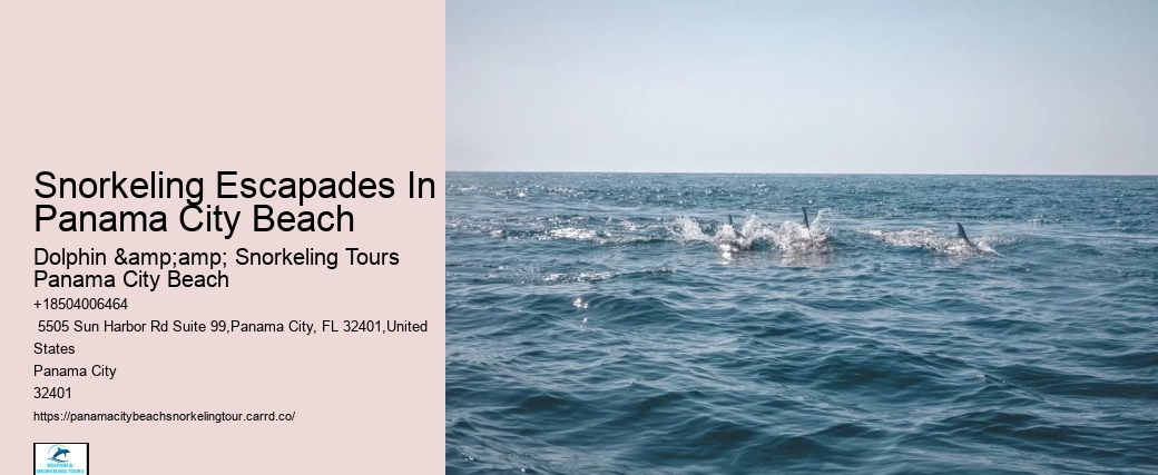 Snorkeling Escapades In Panama City Beach