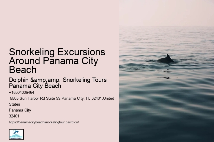 Snorkeling Excursions Around Panama City Beach