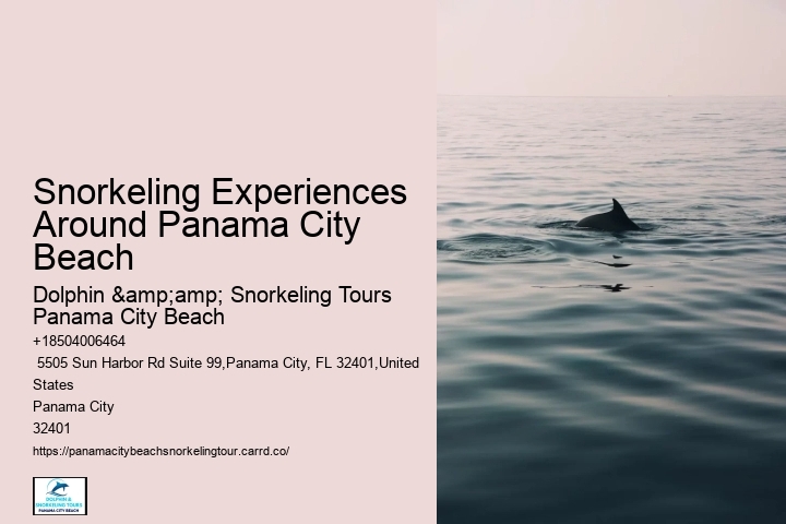 Snorkeling Experiences Around Panama City Beach