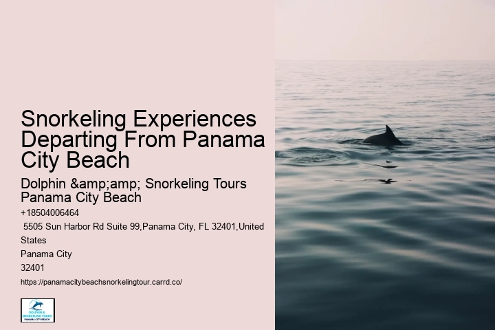 Snorkeling Experiences Departing From Panama City Beach