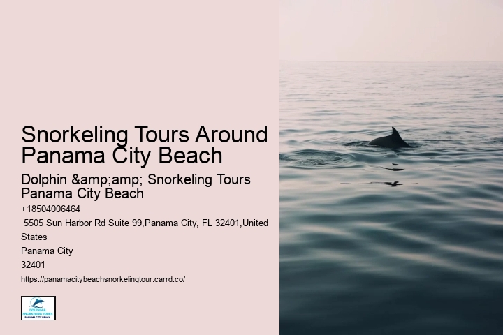 Snorkeling Tours Around Panama City Beach