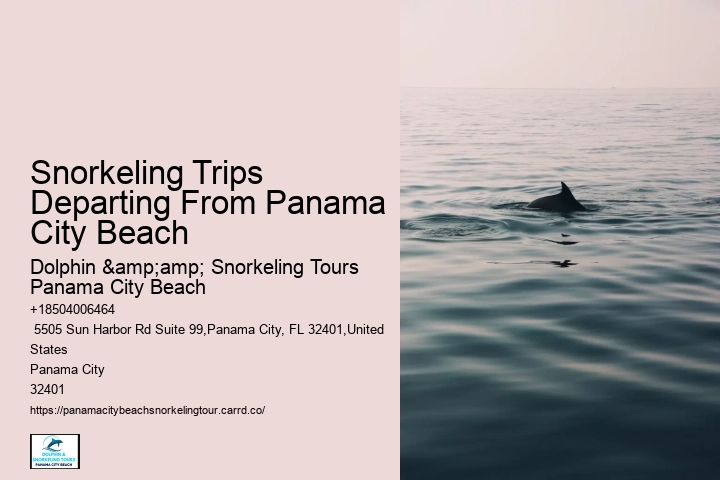 Snorkeling Trips Departing From Panama City Beach