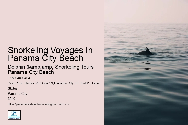 Panama City Beach Snorkel Exploration Excursions