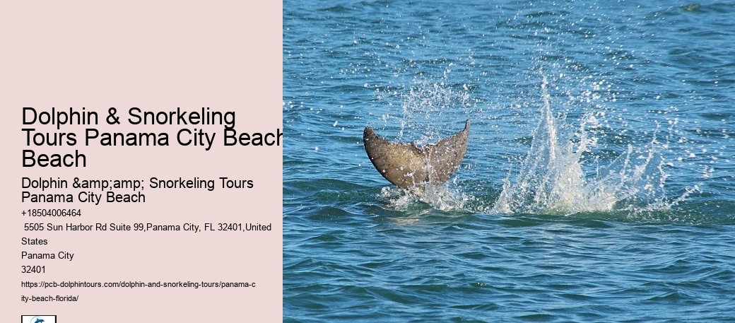 Panama City Beach Snorkeling Tours Agency